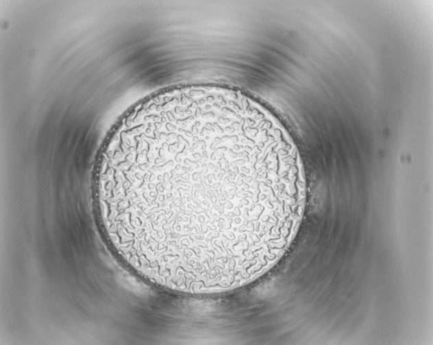 X0000088641086200706221540