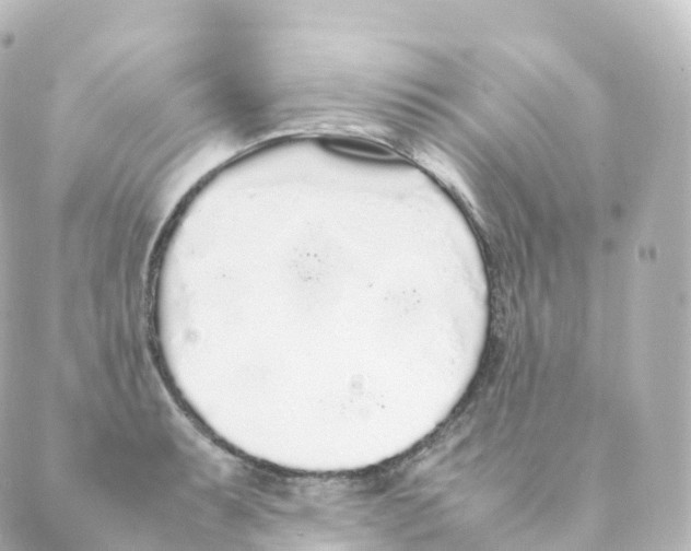 X0000088641087200706221540