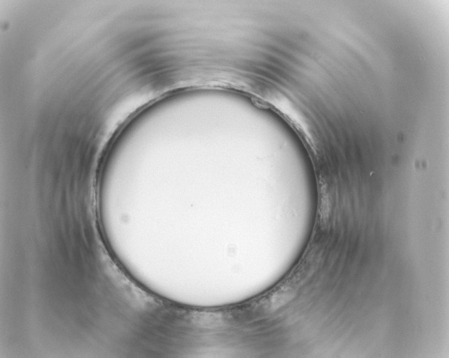 X0000088641088200706221540