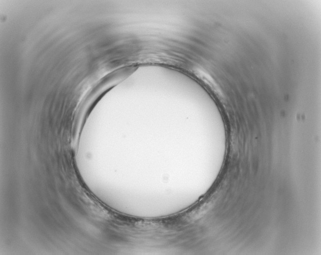 X0000088641089200706221540