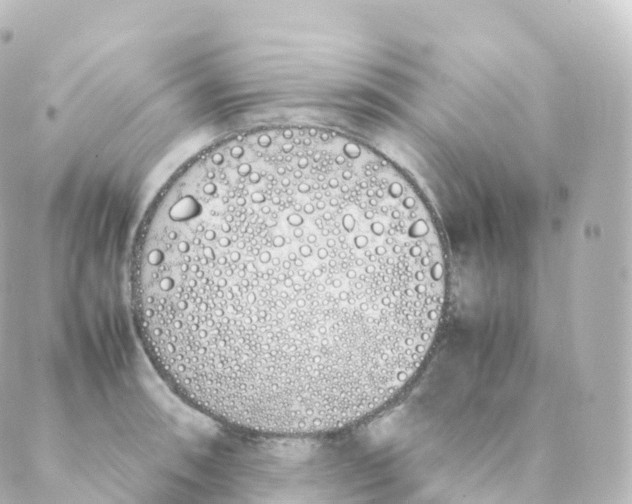 X0000088641090200706221540