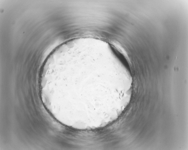 X0000088641091200706221539