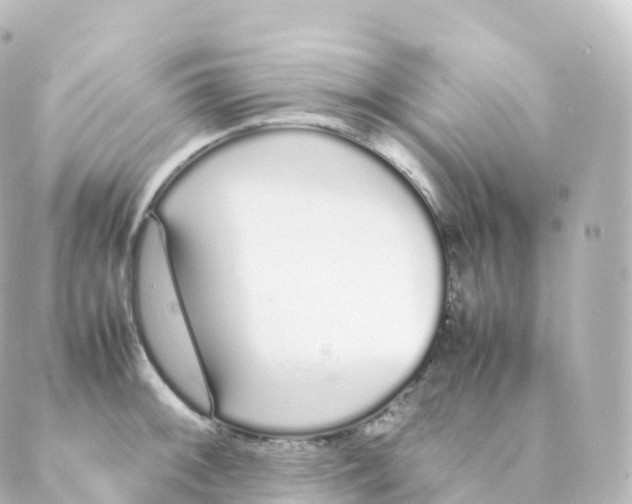 X0000088641092200706221539