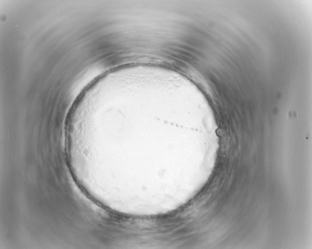 X0000088641095200706221539