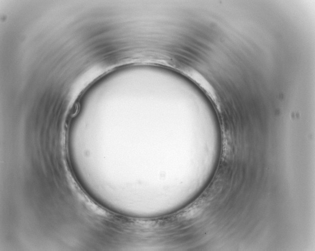 X0000088641096200706221539