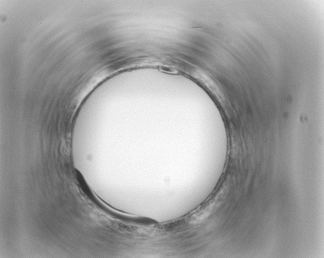 X0000088641097200706221539