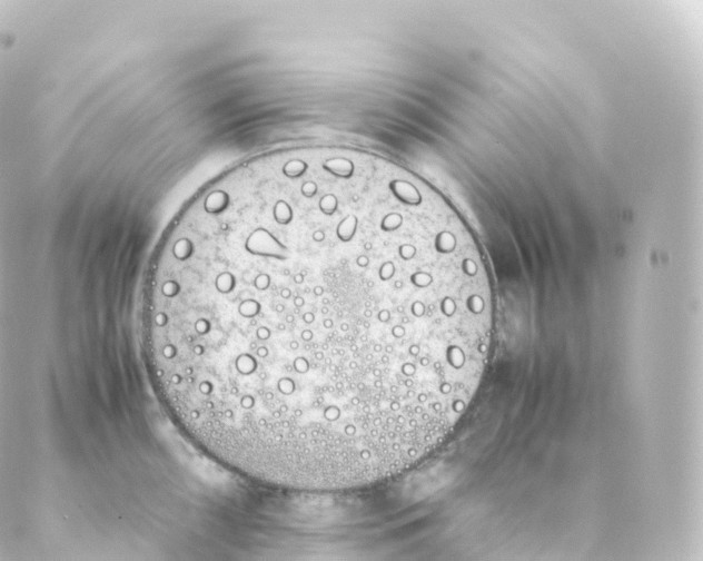 X0000088641098200706221539