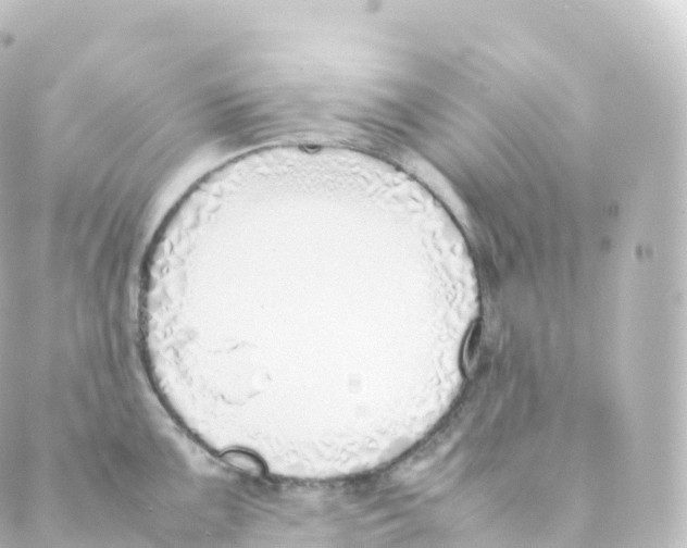 X0000088641099200706221539