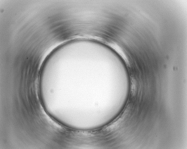 X0000088641100200706221539