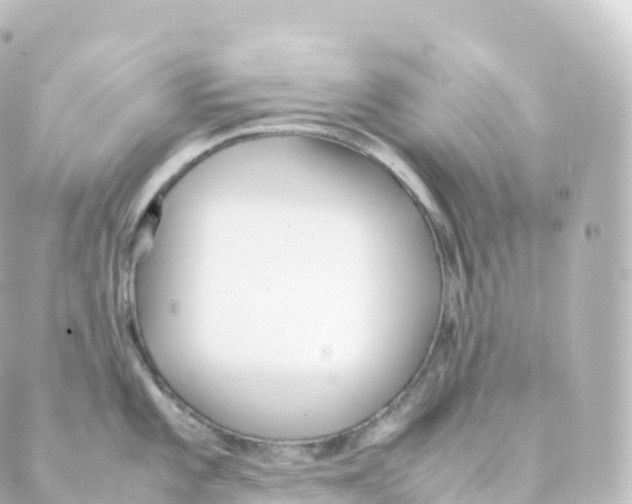 X0000088641101200706221539