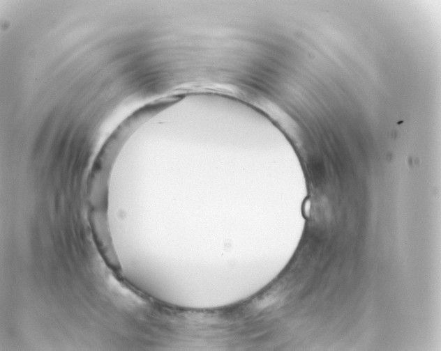 X0000088641102200706221539