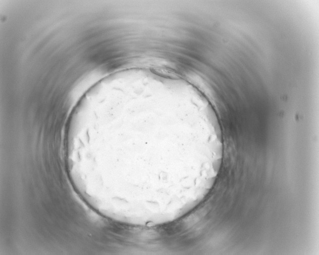 X0000088641103200706221539