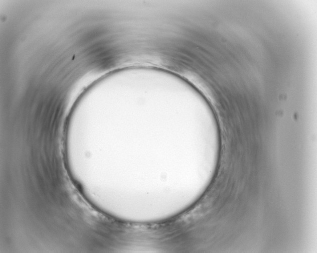 X0000088641104200706221539