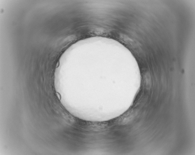 X0000088641105200706221539