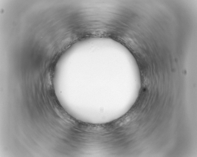 X0000088641106200706221539