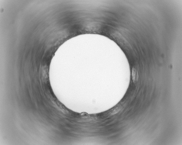 X0000088641107200706221539