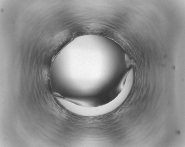 X0000088641108200706221539