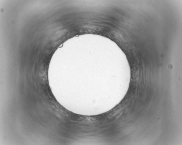 X0000088641109200706221539