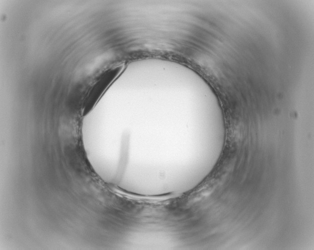 X0000088641110200706221539