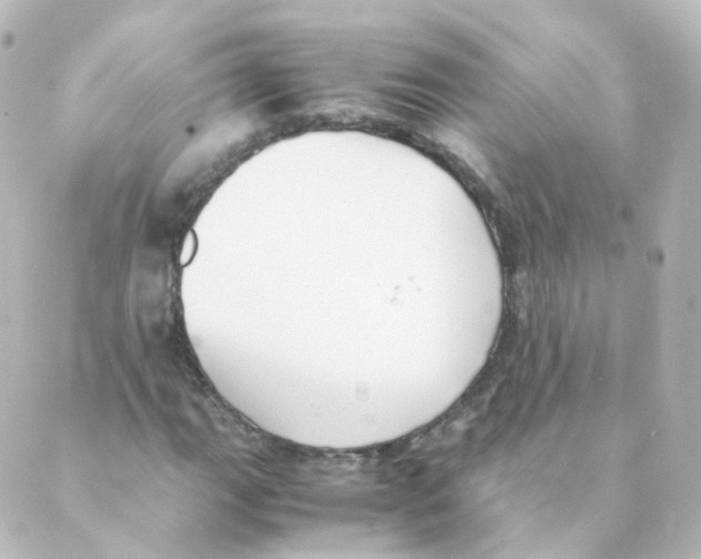 X0000088641111200706221539