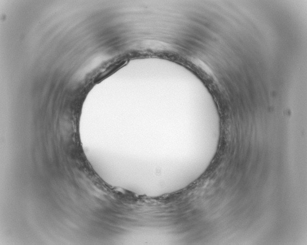 X0000088641112200706221539