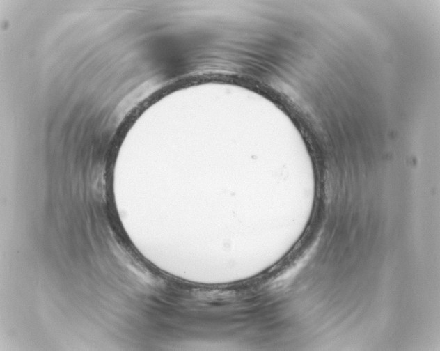 X0000088641113200706221539