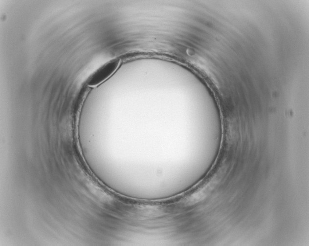 X0000088641114200706221539