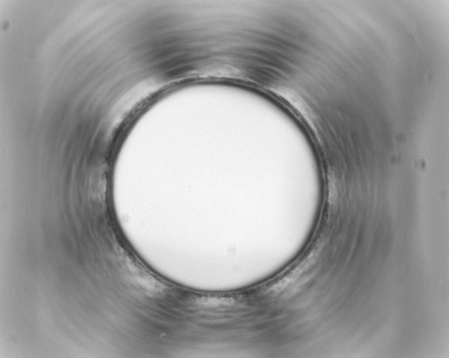 X0000088641115200706221539