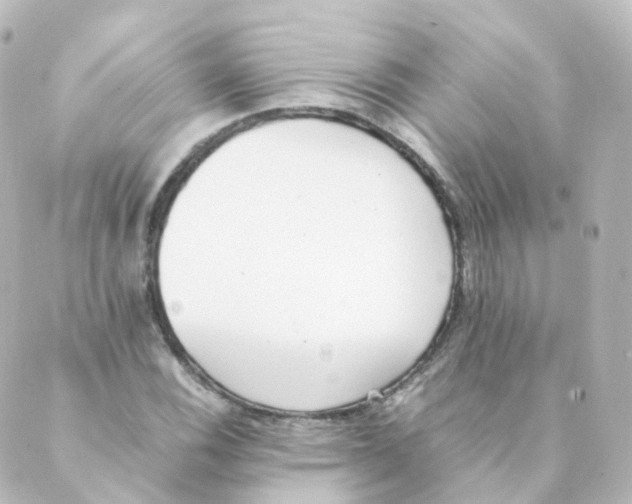 X0000088641116200706221539