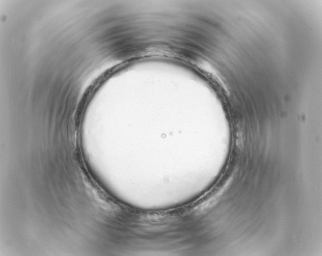 X0000088641117200706221539