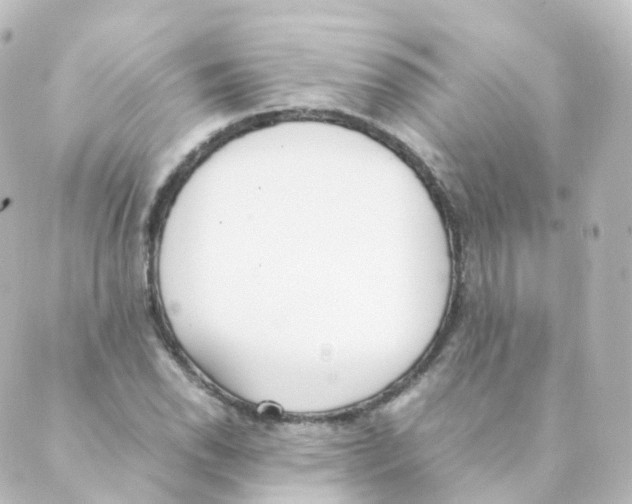 X0000088641118200706221539