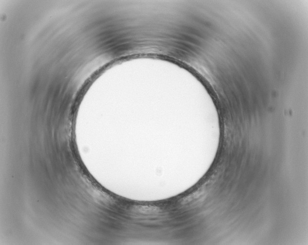 X0000088641119200706221539