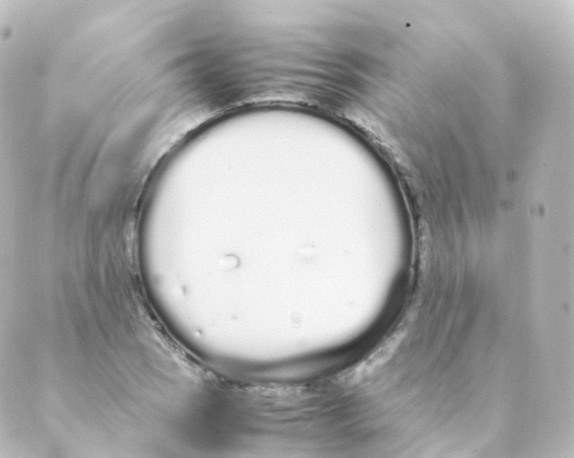 X0000088641121200706221539