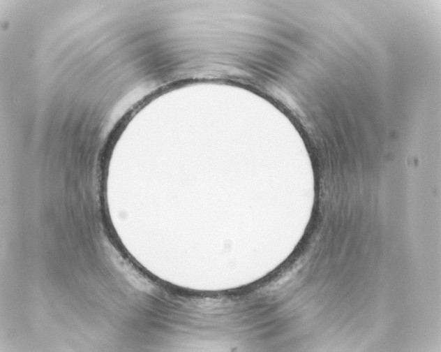 X0000088641122200706221539