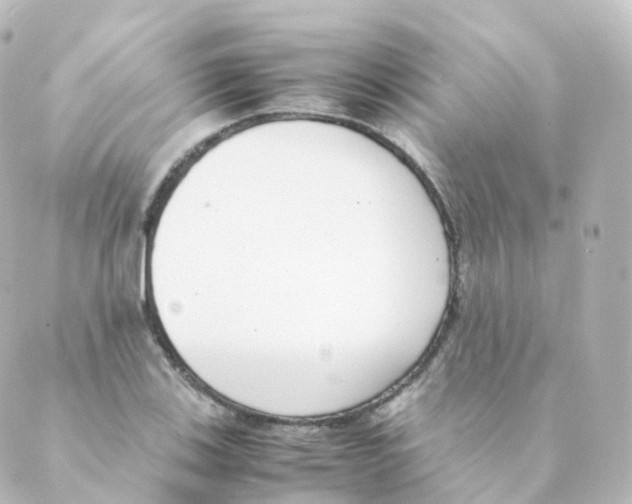 X0000088641123200706221539