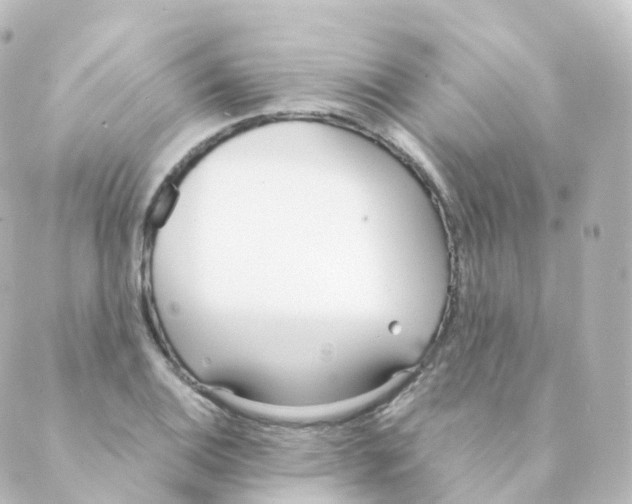 X0000088641124200706221539