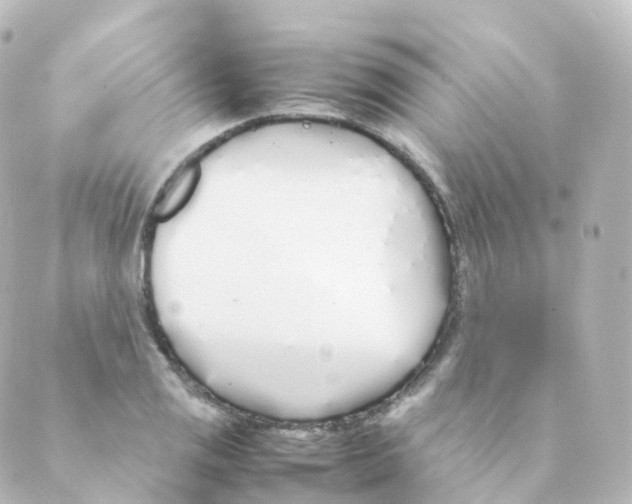 X0000088641125200706221539