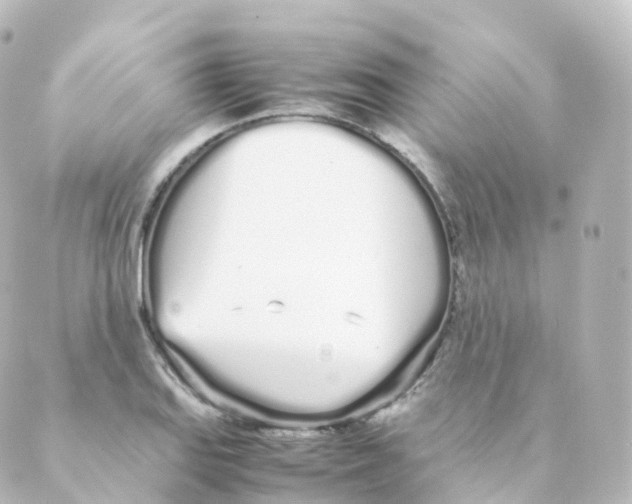 X0000088641127200706221539