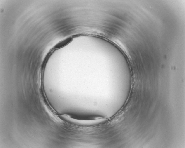 X0000088641128200706221539