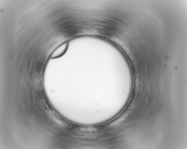 X0000088641129200706221539