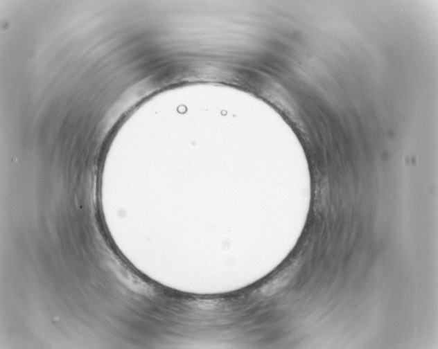 X0000088641130200706221539