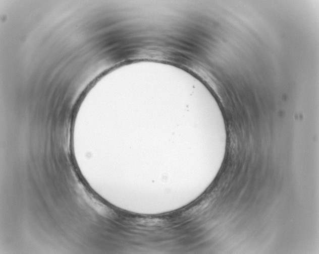 X0000088641131200706221539