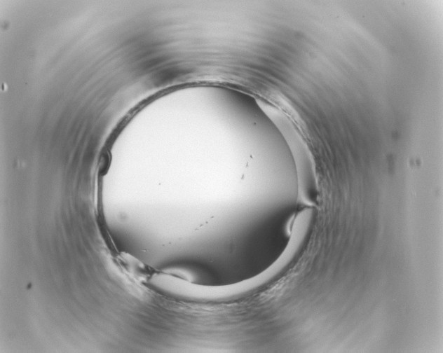 X0000088641132200706221539