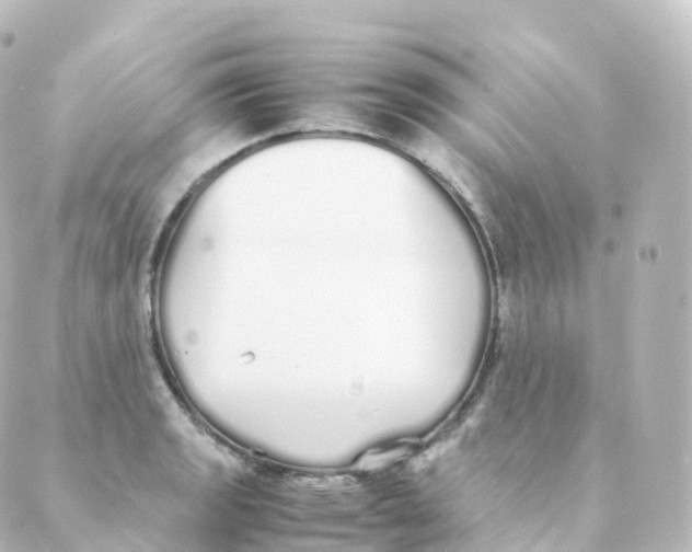 X0000088641133200706221539