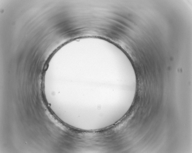 X0000088641134200706221539