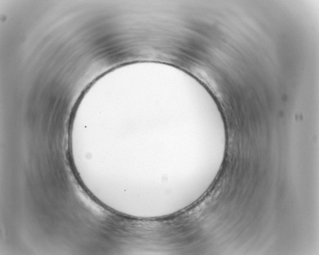 X0000088641136200706221539