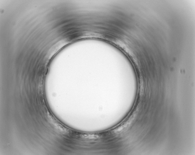 X0000088641137200706221539