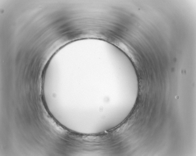 X0000088641140200706221539