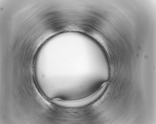 X0000088641141200706221539