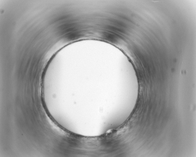 X0000088641143200706221539